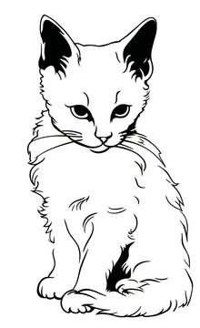 a black and white drawing of a cat sitting on the ground.