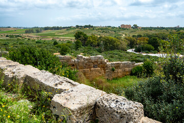 Fototapeta na wymiar Selinunte Archaeological Park - Sicily - Italy