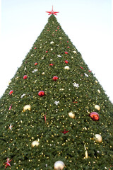 Giant Christmas tree decorated with red, silver and gold ball ornaments and snowflakes. Light blue sunny sky above. Star on top of tree.