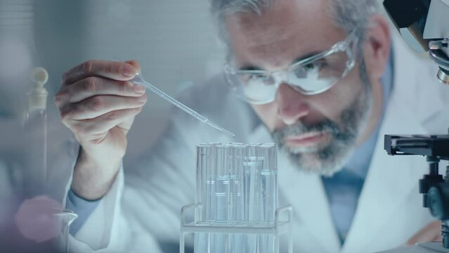 Experienced male scientist in protective eyeglasses dropping liquid chemical into test tubes on a rack while conducting experiment in the laboratory. Rack focus shot