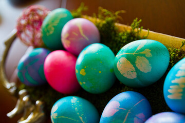Fototapeta na wymiar Colorful Easter Eggs in Moss with Botanical Prints Close-Up