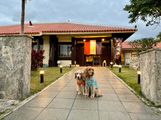 石垣屋／ゴールデンレトニエル