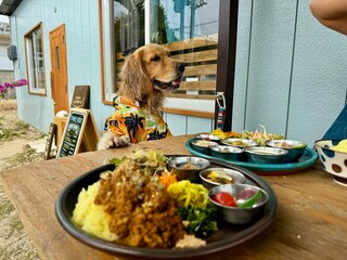 石垣島ランチ穴場!知る人ぞ知るおすすめスポット|三川食堂