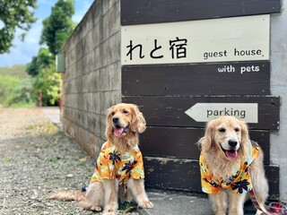 れと宿／ゴールデンレトニエル