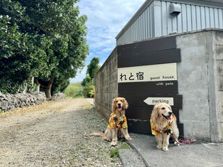 れと宿／ゴールデンレトニエル