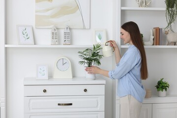 Beautiful young woman watering green houseplant at home