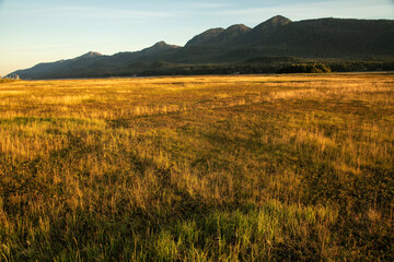 Mendenhall Wetlands State Game Refuge at sunset; Juneau, Alaska