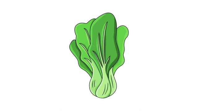 Animation forms a green mustard vegetable icon