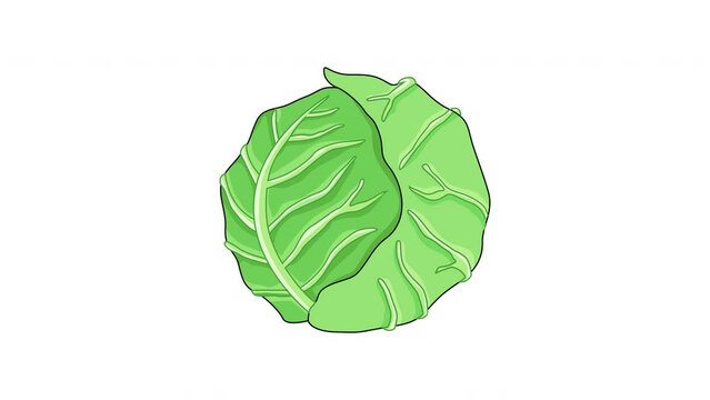 Animation forms a cabbage vegetable icon