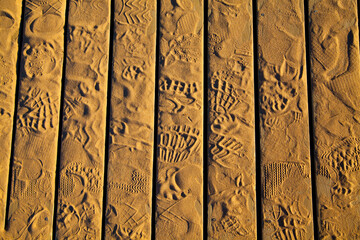 Sunlit Footprints on Wooden Planks in Empire Michigan