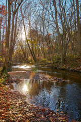 Late Autumn Serenity in Bicentennial Acres, Indiana - Golden Light on River