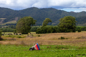 West Coast, South Island, New Zealand
