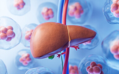 Liver organ with health care concept, 3d rendering.