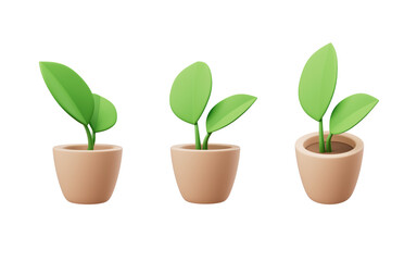 Cartoon style potted plant, 3d rendering.
