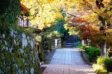 秋　比叡山の麓