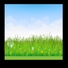 Fototapeta na wymiar grass and blue sky background