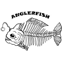 AGLERFISH ILLUSTRATION