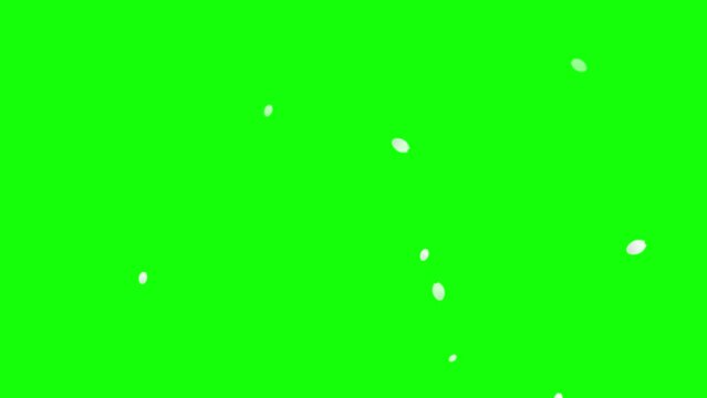 Animation of falling cherry blossom petals on green background