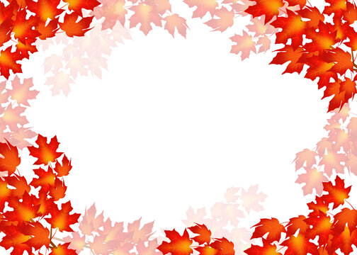 Frame of autumnal sugar maple leaves on white background 