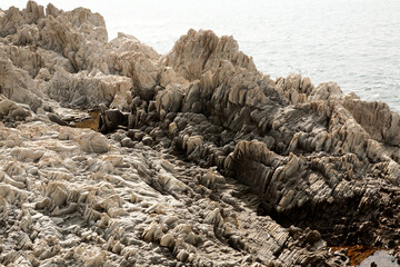 a rock on the beach