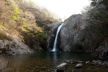 spring scene of a waterfall