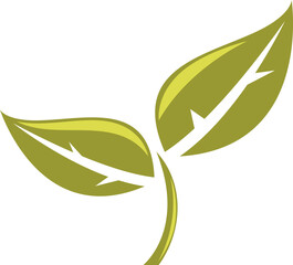 Leaf logo and icon