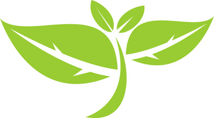 Leaf logo and icon