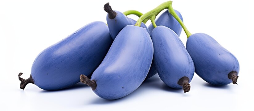 Blue Sausage Fruit, from the Lardizabalaceae family, is known as Decaisnea fargesii.