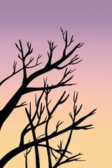 silhouette of a tree
