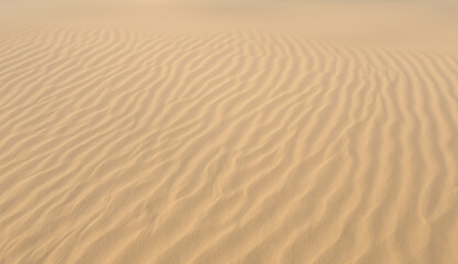 sand dunes in the desert