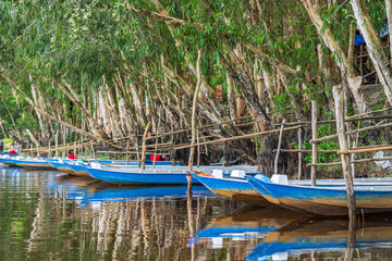 Colourful tourist boats lined up along a river bank at the Tra Su Forest in Vietnam