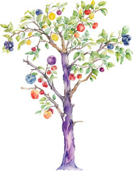 Watercolor fruits tree vector illustrations 