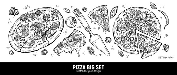 Pizza set, mozzarella, pepperoni slice, pizza spatula and pizza ingredients. Hand drawing sketch.