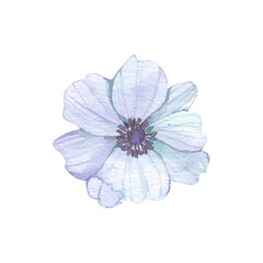 Obraz premium Vector watercolor blue flower illustration blue linen flower forgermenot flower