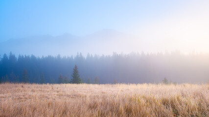 Foggy landscape in the morning. Sunbeams in a valley. Forest and field in a mountain valley at dawn. Sunlight in the forest. Natural panoramic landscape. Alberta, Canada.