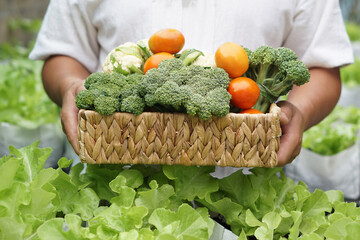 Close up vegetarian man hold basket of fresh organic vegetables in garden. Concept, food...