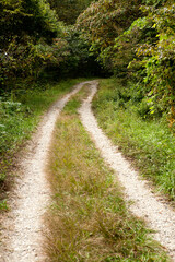 mountain path