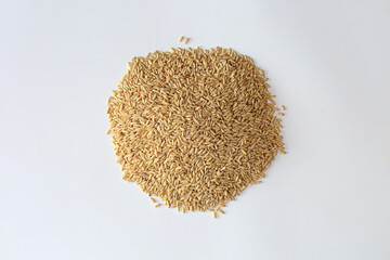 흰 바탕에 쌓인 귀리