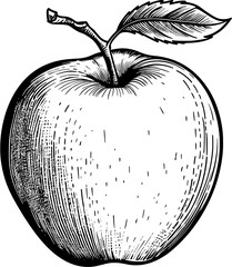 Fruit Sketch Apple Vintage Outline Icon In Hand-drawn Style