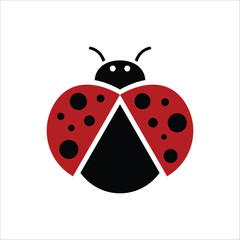 Ladybird Icon and Illustration