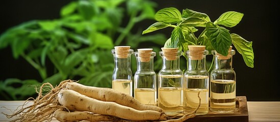 Laboratory tests on Korean ginseng to examine raw materials for medicine production, including natural root ingredients. - obrazy, fototapety, plakaty