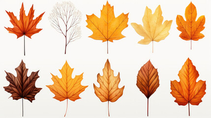 Collection of fallen leaves from different trees: maple, oak, birch, red maple, poplar on a pale white background forming a pattern, frame, banner, texture, paper. Ai generated - obrazy, fototapety, plakaty