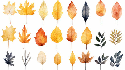 Leaf swatch in various autumn colors: orange, brown, yellow, grey, beige on white background for packaging, frame, pattern, banner, texture, design. Ai generated