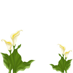 Photocard with white flowers ornament