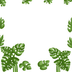 green monstera leaves frame