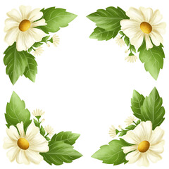 frame of daisies flower