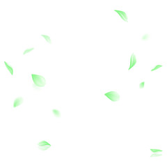 Vector green leaf vector panoramic on white background