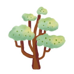 tree element  look  fresh green