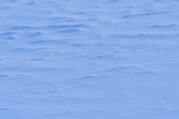 Flat field in winter, Kushiro, Hokkaido