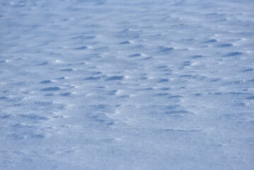 Flat field in winter, Kushiro, Hokkaido
